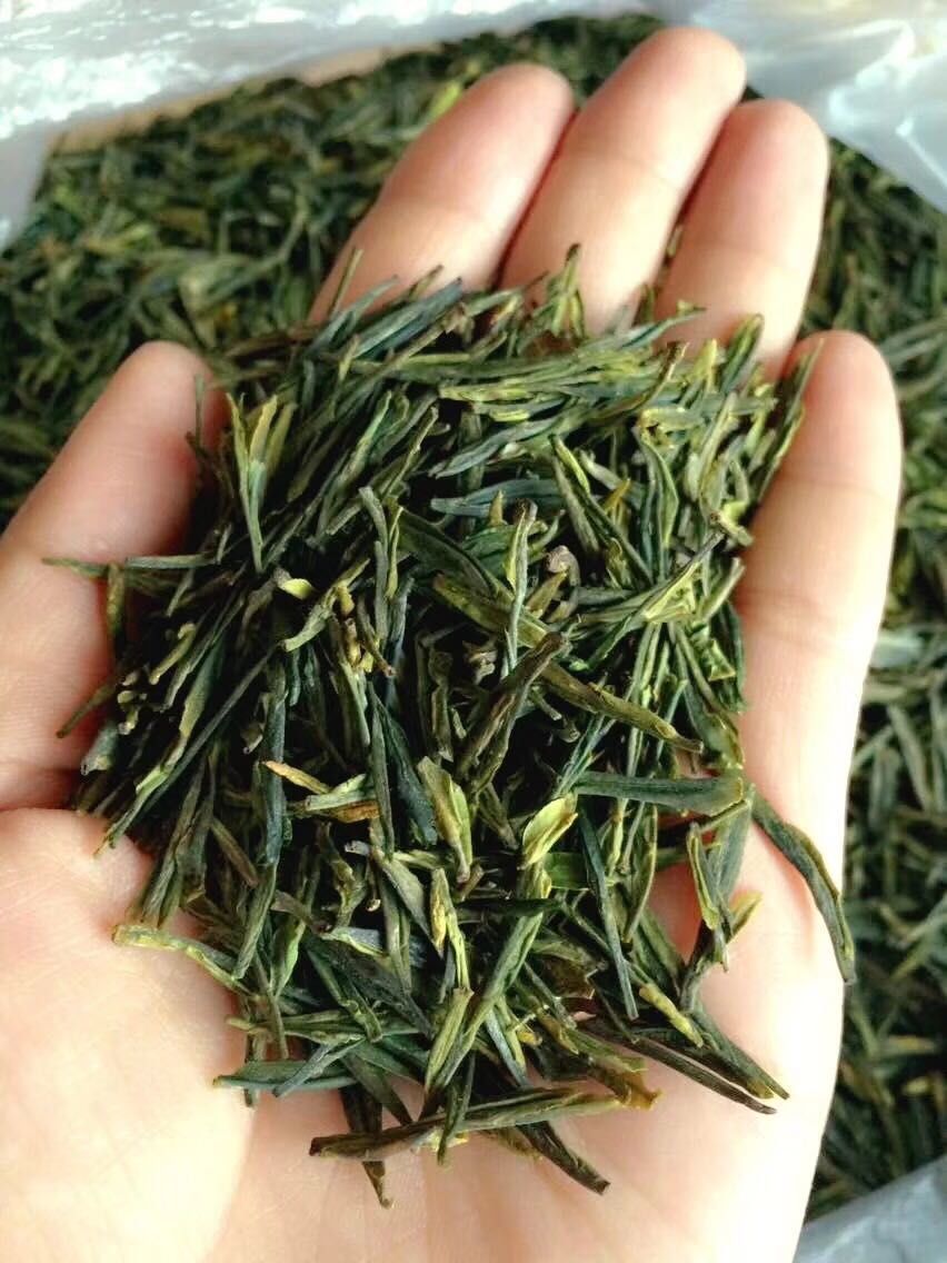 市面上的茶葉哪些是正宗的嶗山茶？你真的了解嗎